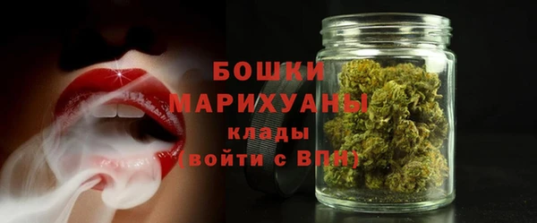 амф Арсеньев