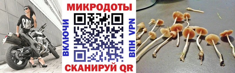 Галлюциногенные грибы Magic Shrooms  Берёзовка 